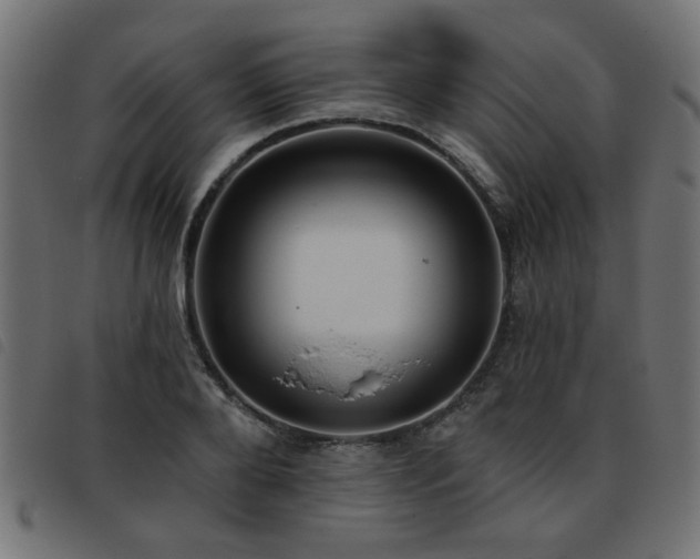 X0000093450888200710121352