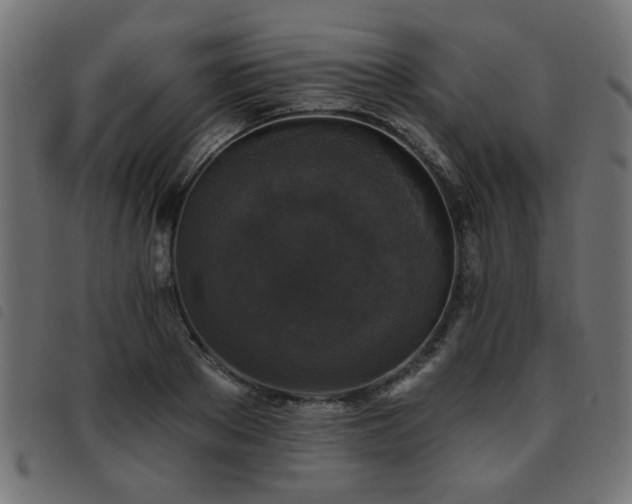X0000093450889200710121352