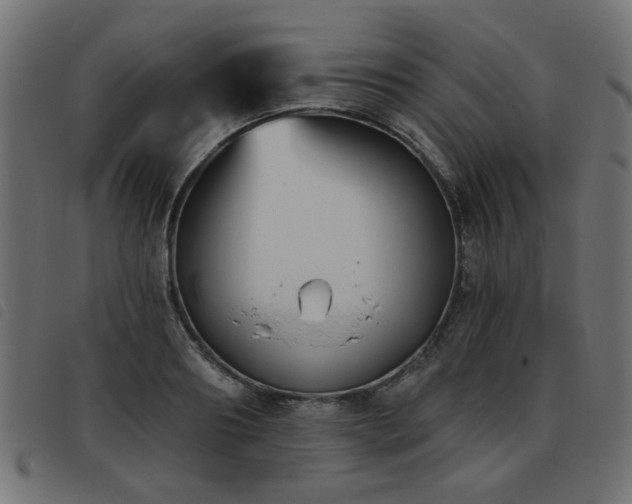 X0000093450890200710121352