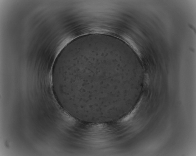 X0000093450891200710121352