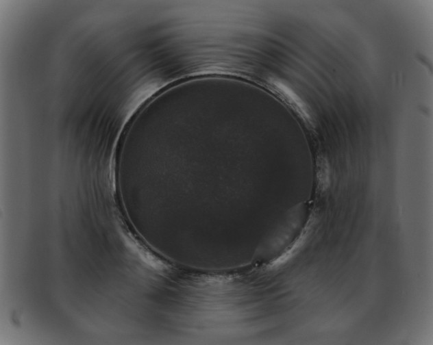 X0000093450892200710121351