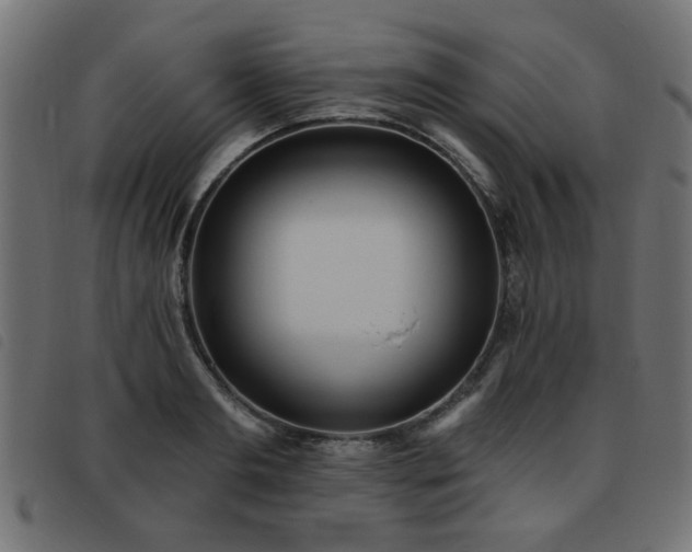 X0000093450893200710121351