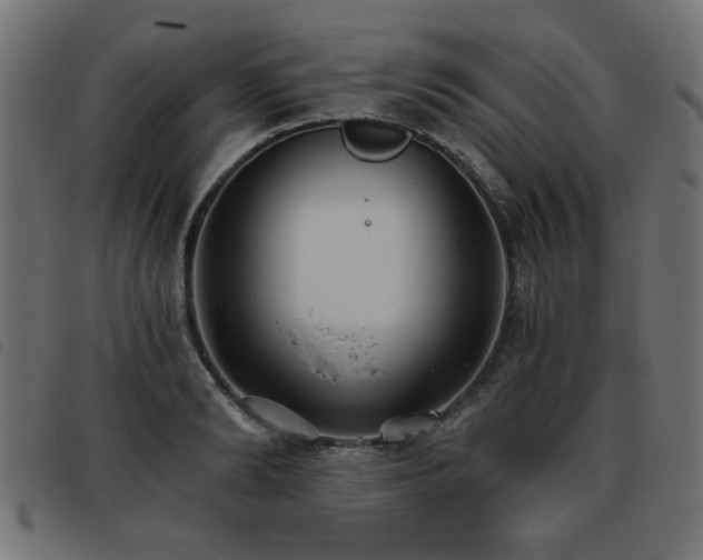 X0000093450894200710121351