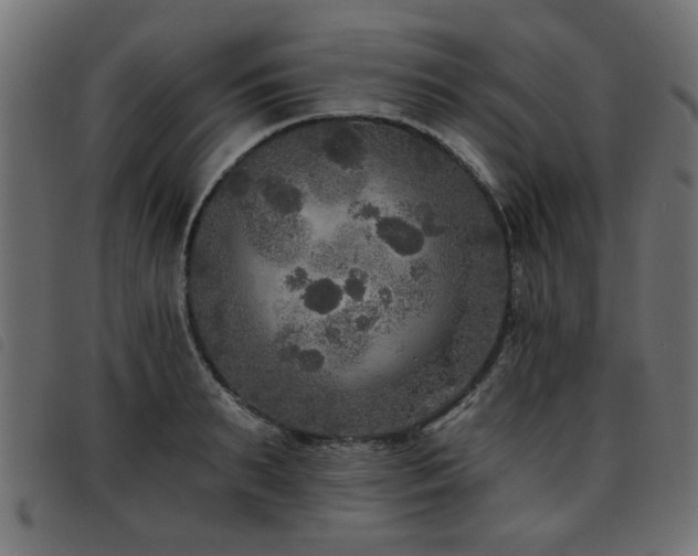 X0000093450895200710121351