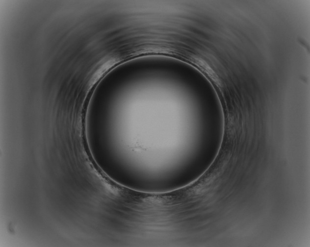 X0000093450898200710121351