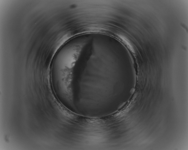 X0000093450899200710121351