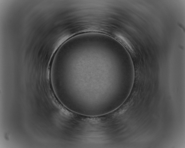 X0000093450900200710121351