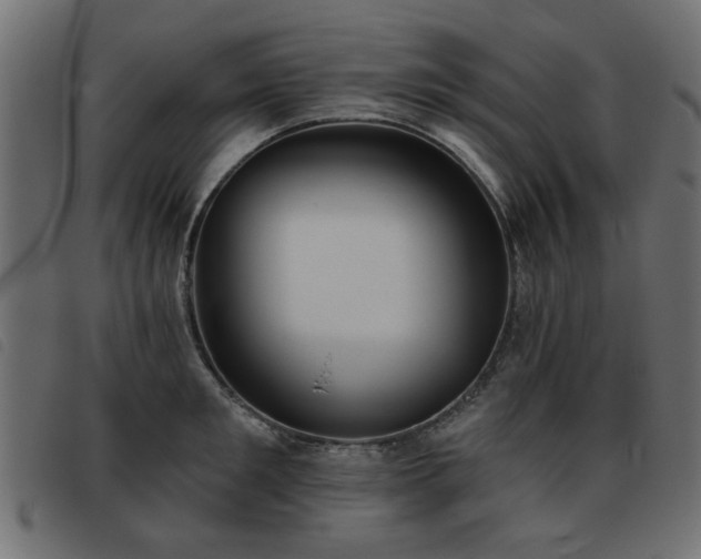 X0000093450901200710121351
