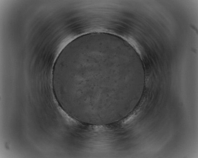 X0000093450903200710121351