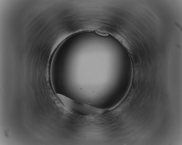 X0000093450904200710121351