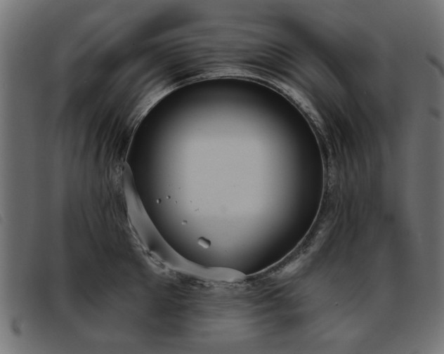 X0000093450905200710121351