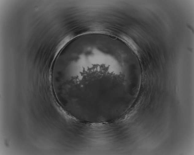 X0000093450907200710121351