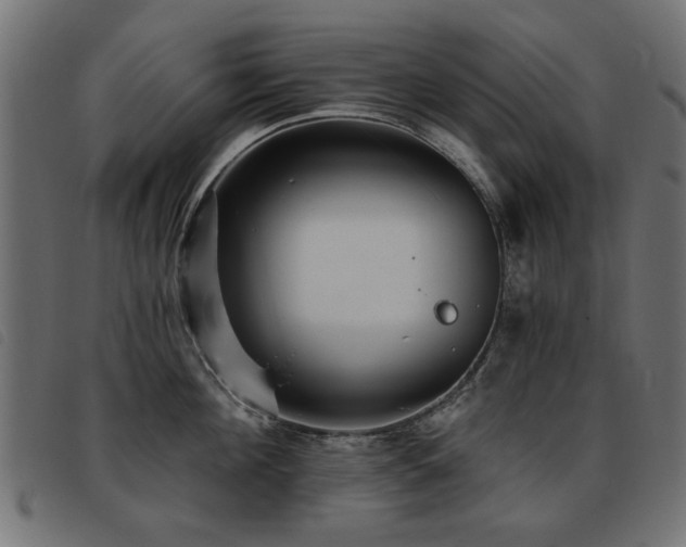 X0000093450908200710121351