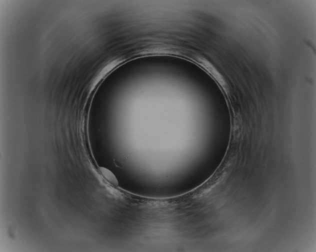 X0000093450909200710121351
