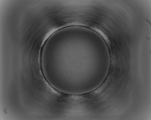 X0000093450910200710121351