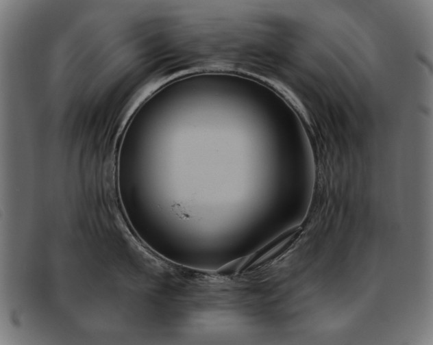 X0000093450911200710121351