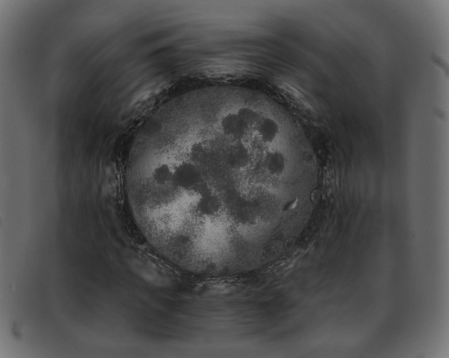 X0000093450917200710121351
