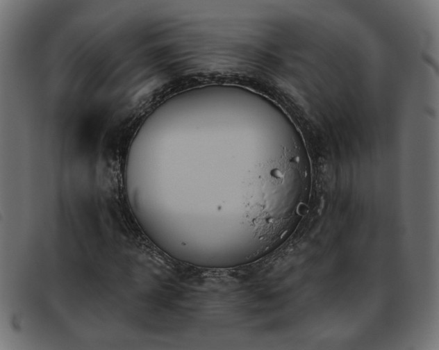 X0000093450918200710121351