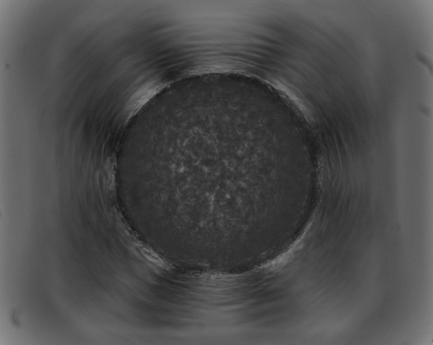 X0000093450921200710121351
