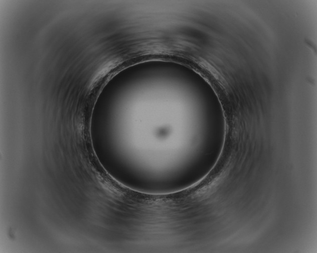 X0000093450922200710121351