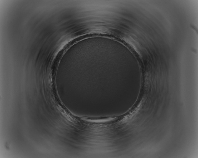 X0000093450923200710121351
