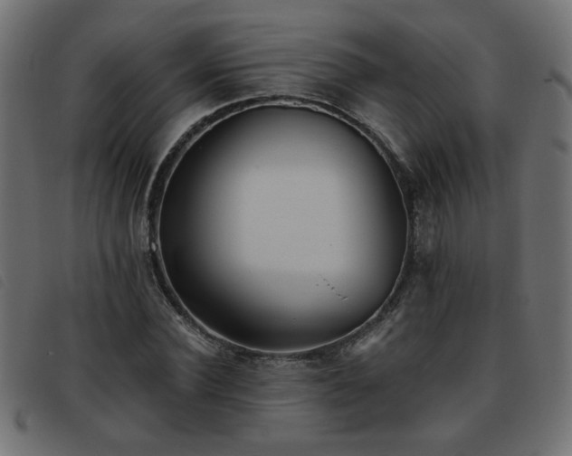 X0000093450924200710121351