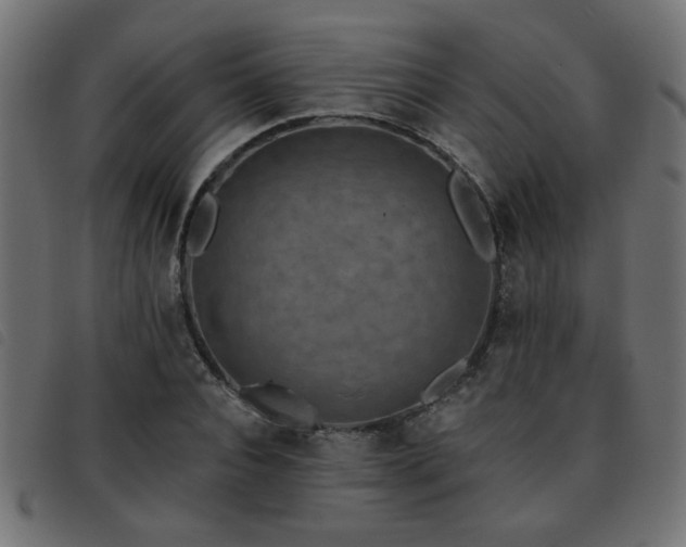 X0000093450928200710121351