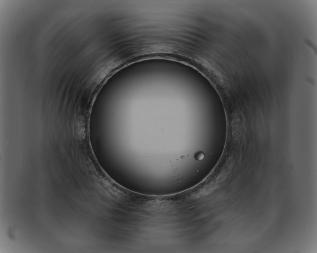 X0000093450929200710121351