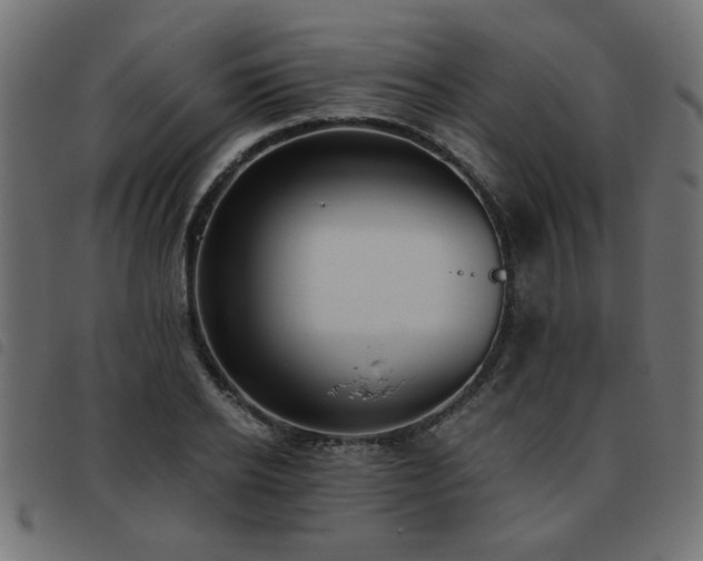 X0000093450934200710121351