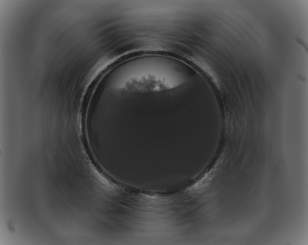 X0000093450935200710121351