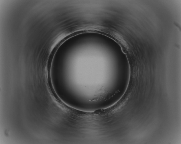 X0000093450936200710121351