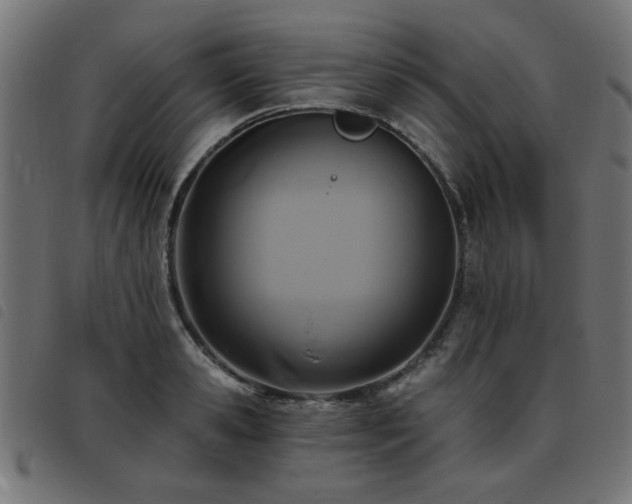 X0000093450941200710121351