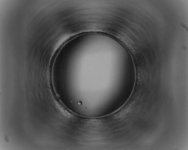 X0000093450942200710121351