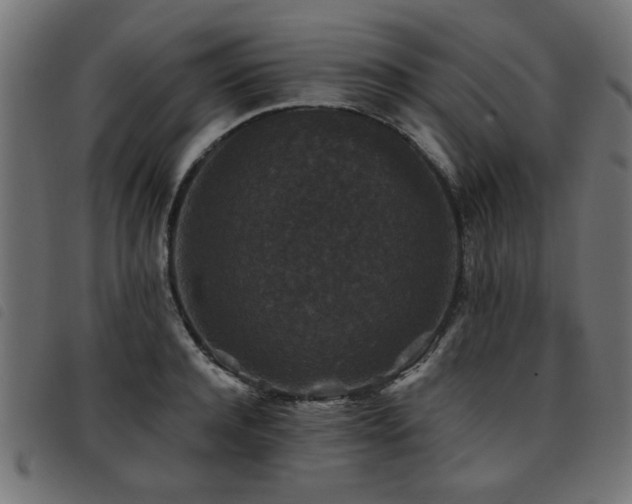 X0000093450944200710121351