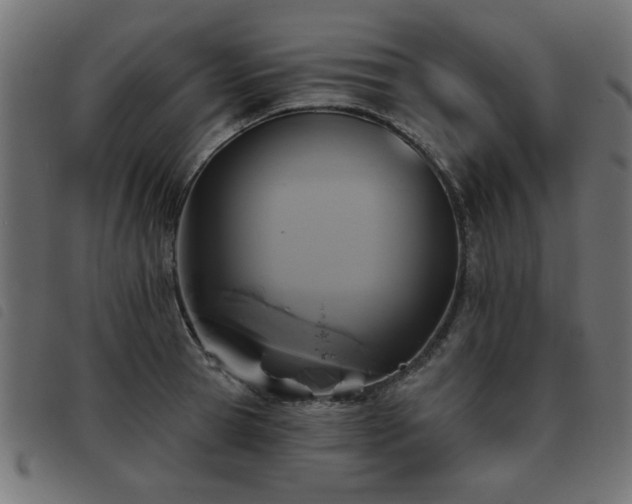 X0000093450945200710121351
