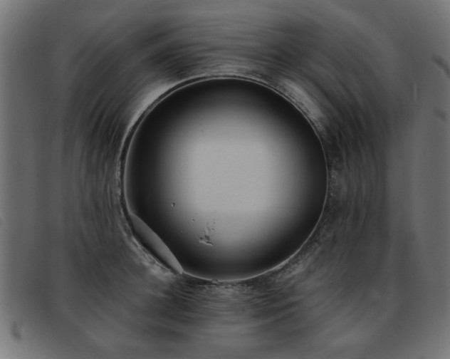 X0000093450948200710121351