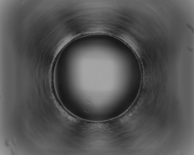 X0000093450949200710121351