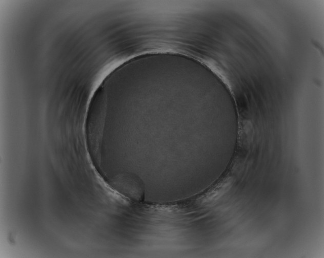X0000093450951200710121351