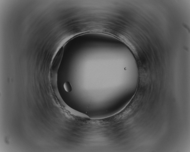 X0000093450956200710121351