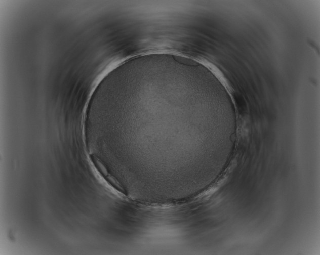 X0000093450957200710121351