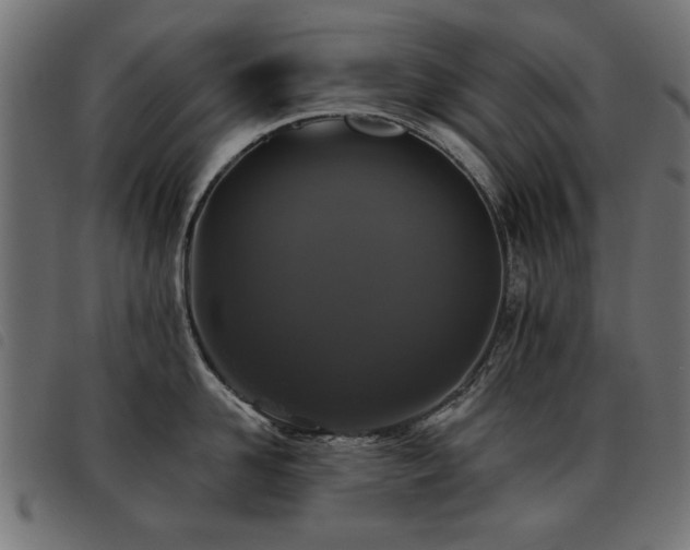 X0000093450958200710121351