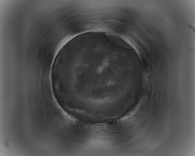 X0000093450959200710121351