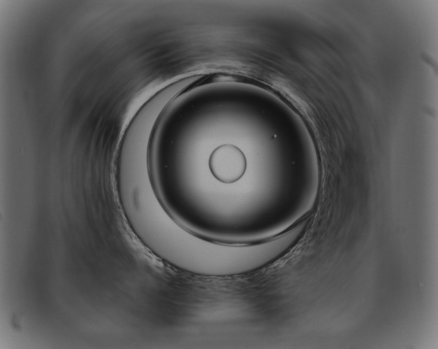 X0000093450960200710121351