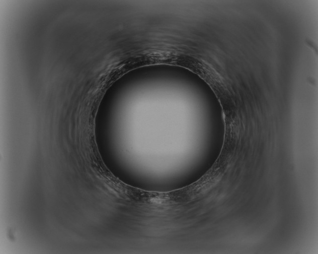 X0000093450961200710121351