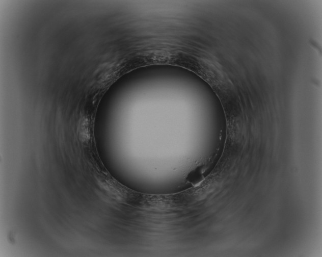 X0000093450962200710121351