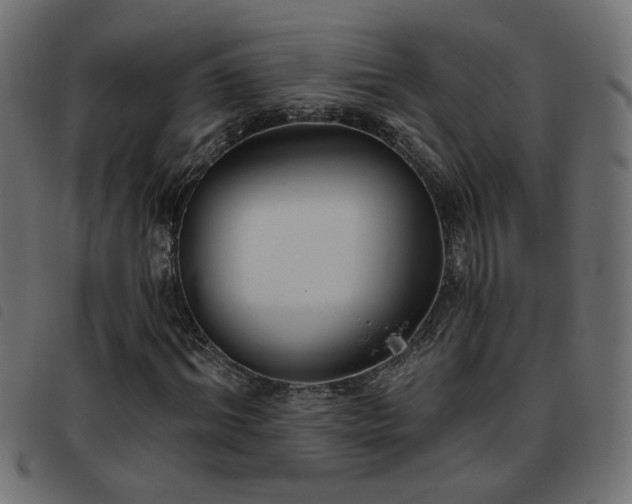 X0000093450964200710121351