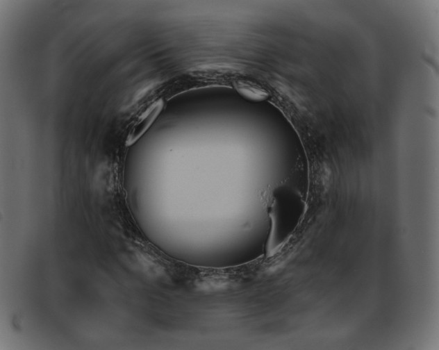X0000093450965200710121350