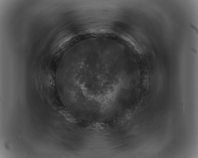X0000093450966200710121350