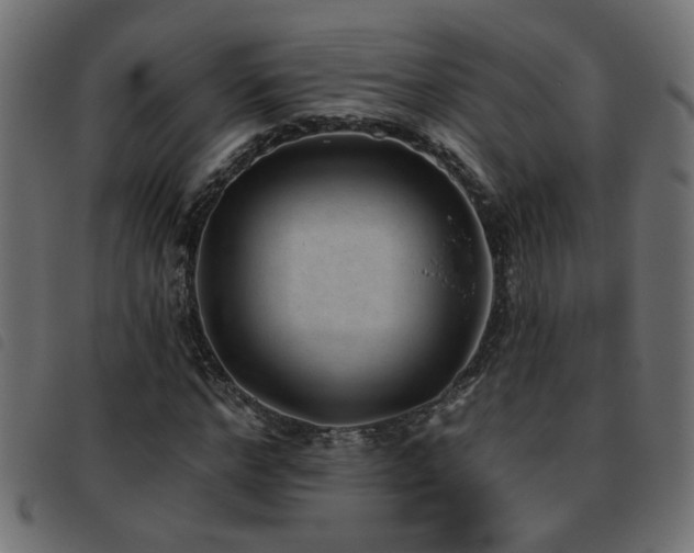 X0000093450968200710121350