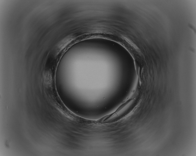X0000093450969200710121350